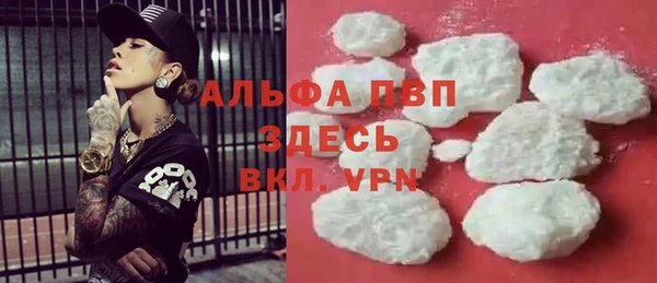 индика Бронницы