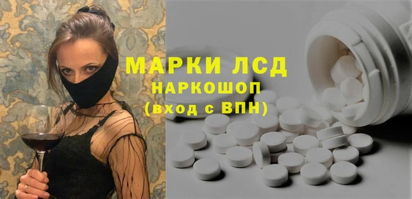 индика Бронницы