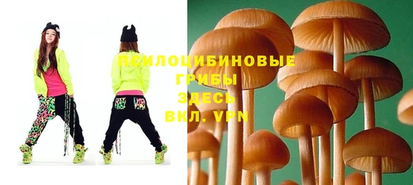 индика Бронницы