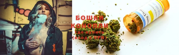 индика Бронницы