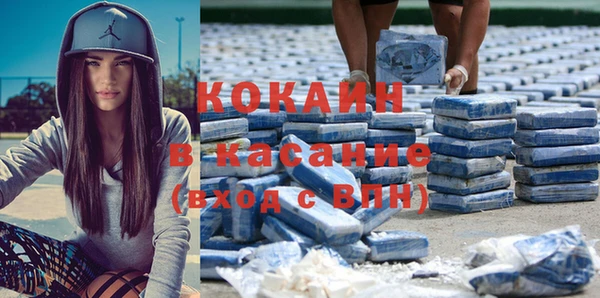индика Бронницы