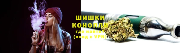индика Бронницы