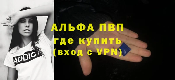 индика Бронницы