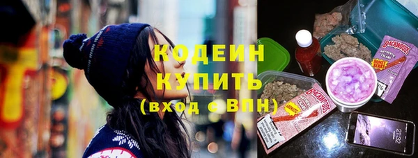 индика Бронницы