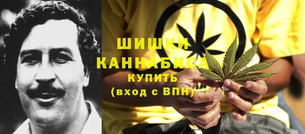 индика Бронницы